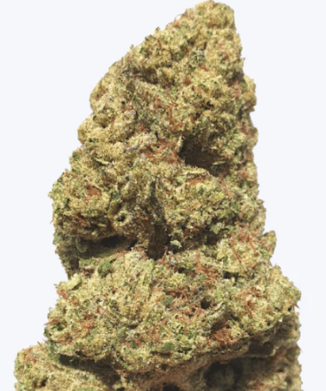 Cannabis Flower for Sale