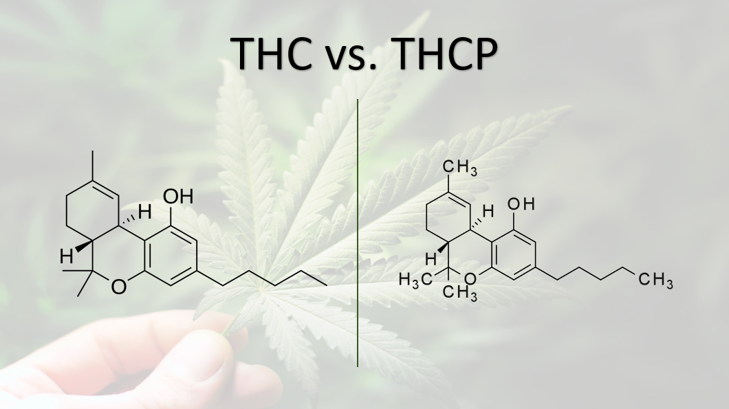 What is THC-P