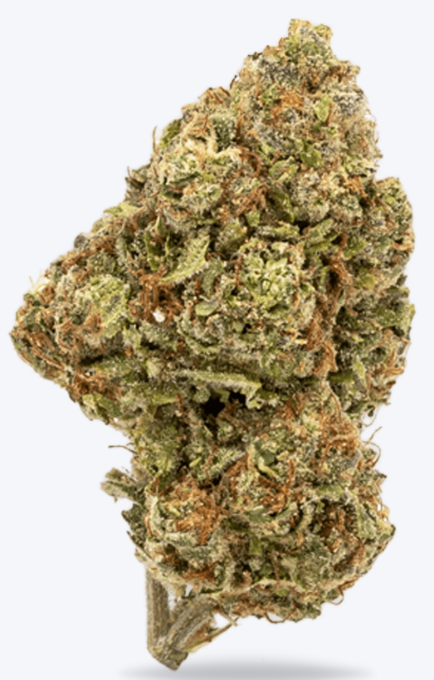 Gary Payton THCA Flower